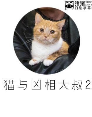 猫和凶相大叔2