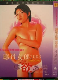 应召女郎2004之极欲燃烧